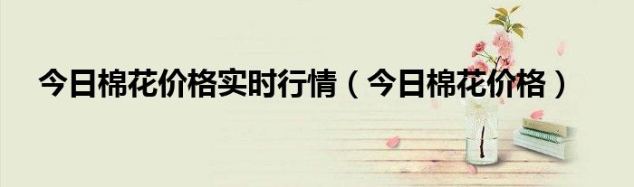 今日棉花价格实时行情（今日棉花价格）