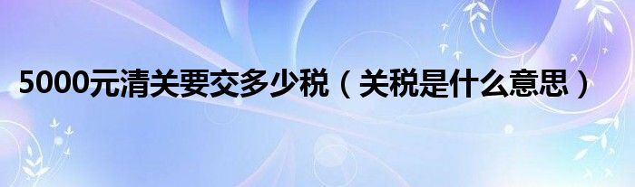 5000元清关要交多少税（关税是什么意思）