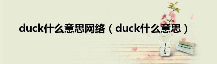 duck什么意思网络（duck什么意思）