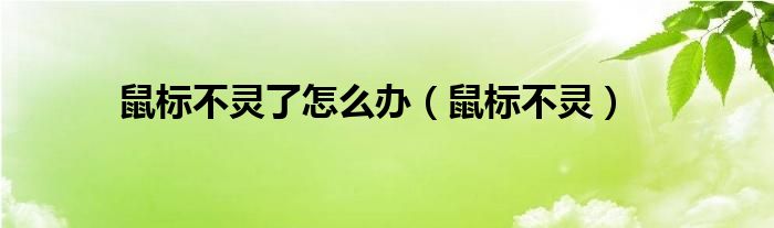 鼠标不灵了怎么办（鼠标不灵）