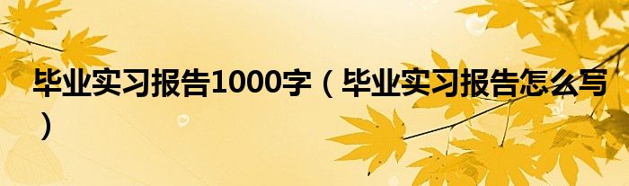 毕业实习报告1000字（毕业实习报告怎么写）