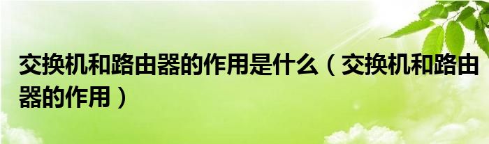 交换机和路由器的作用是什么（交换机和路由器的作用）