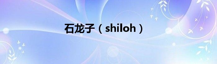 石龙子（shiloh）