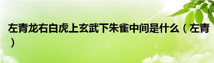 左青龙右白虎上玄武下朱雀中间是什么（左青）