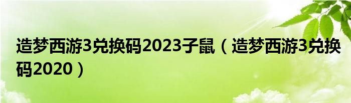 造梦西游3兑换码2023子鼠（造梦西游3兑换码2020）