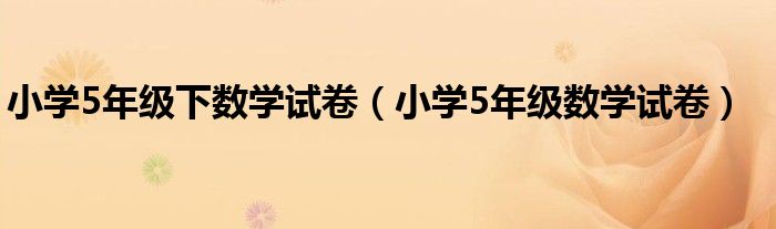 小学5年级下数学试卷（小学5年级数学试卷）