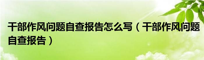 干部作风问题自查报告怎么写（干部作风问题自查报告）