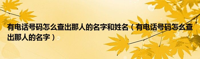 有电话号码怎么查出那人的名字和姓名（有电话号码怎么查出那人的名字）