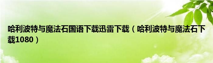 哈利波特与魔法石国语下载迅雷下载（哈利波特与魔法石下载1080）