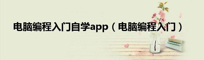 电脑编程入门自学app（电脑编程入门）