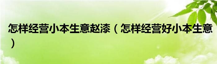 怎样经营小本生意赵漆（怎样经营好小本生意）