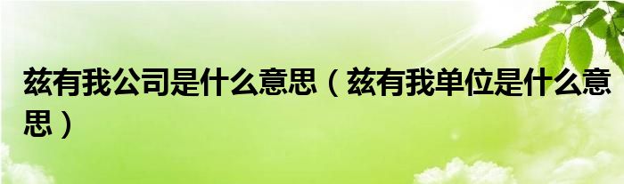 兹有我公司是什么意思（兹有我单位是什么意思）