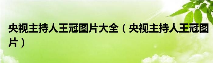 央视主持人王冠图片大全（央视主持人王冠图片）