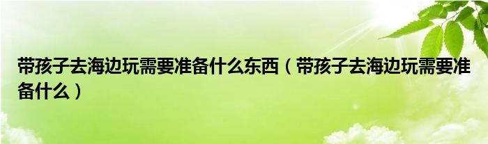 带孩子去海边玩需要准备什么东西（带孩子去海边玩需要准备什么）