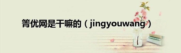 箐优网是干嘛的（jingyouwang）