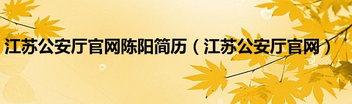 江苏公安厅官网陈阳简历（江苏公安厅官网）