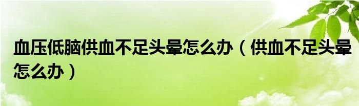 血压低脑供血不足头晕怎么办（供血不足头晕怎么办）