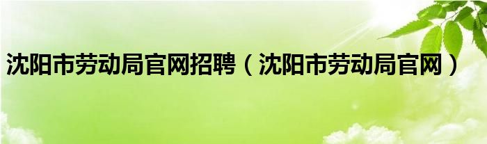 沈阳市劳动局官网招聘（沈阳市劳动局官网）