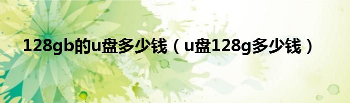 128gb的u盘多少钱（u盘128g多少钱）