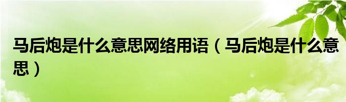 马后炮是什么意思网络用语（马后炮是什么意思）