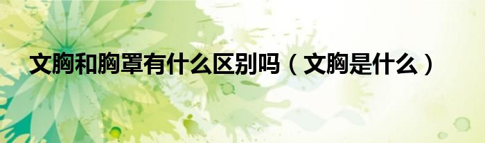 文胸和胸罩有什么区别吗（文胸是什么）