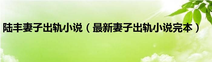 陆丰妻子出轨小说（最新妻子出轨小说完本）