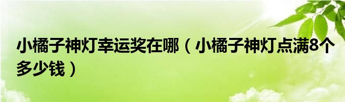 小橘子神灯幸运奖在哪（小橘子神灯点满8个多少钱）