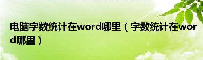 电脑字数统计在word哪里（字数统计在word哪里）