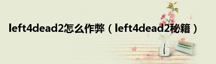 left4dead2怎么作弊（left4dead2秘籍）