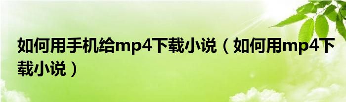 如何用手机给mp4下载小说（如何用mp4下载小说）