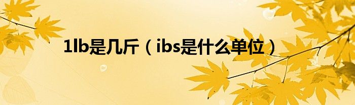 1lb是几斤（ibs是什么单位）