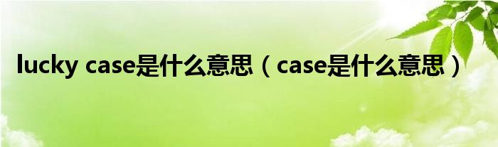 lucky case是什么意思（case是什么意思）