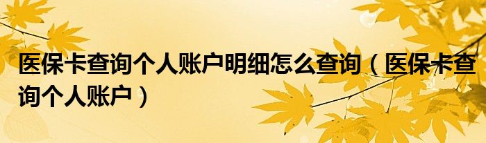 医保卡查询个人账户明细怎么查询（医保卡查询个人账户）