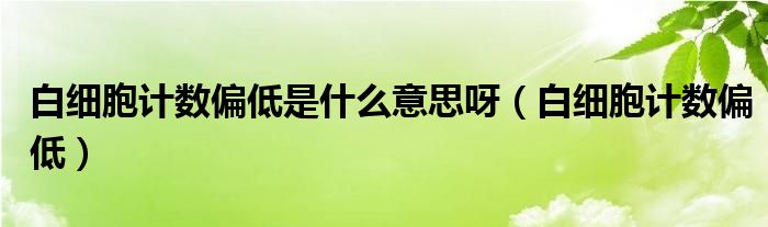 白细胞计数偏低是什么意思呀（白细胞计数偏低）