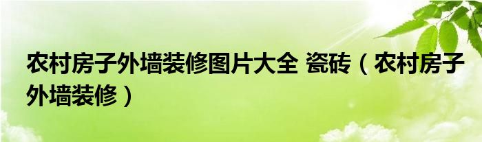 农村房子外墙装修图片大全 瓷砖（农村房子外墙装修）