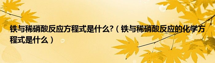 铁与稀硝酸反应方程式是什么?（铁与稀硝酸反应的化学方程式是什么）