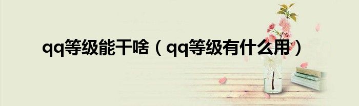 qq等级能干啥（qq等级有什么用）