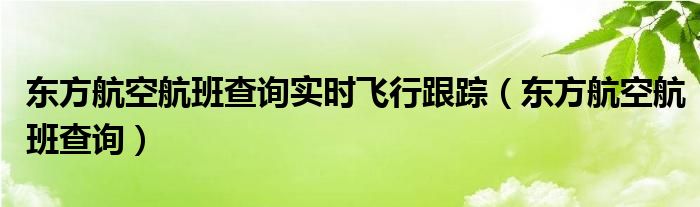 东方航空航班查询实时飞行跟踪（东方航空航班查询）