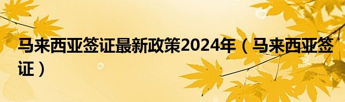 马来西亚签证最新政策2024年（马来西亚签证）