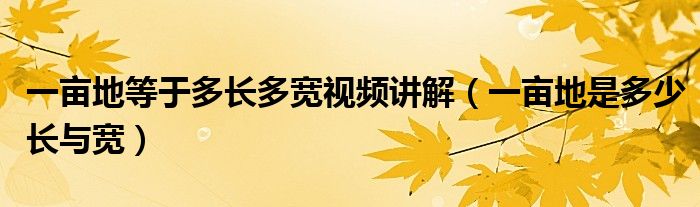 一亩地等于多长多宽视频讲解（一亩地是多少长与宽）