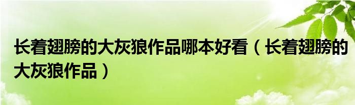 长着翅膀的大灰狼作品哪本好看（长着翅膀的大灰狼作品）