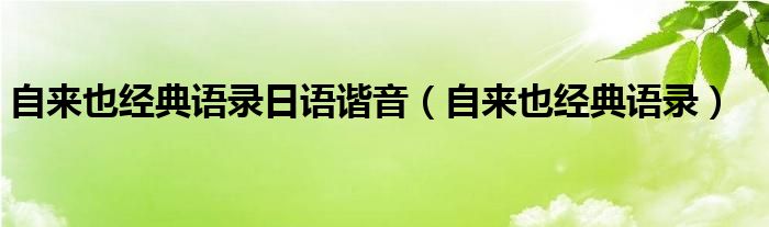 自来也经典语录日语谐音（自来也经典语录）