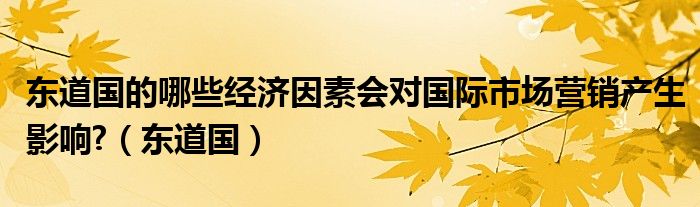 东道国的哪些经济因素会对国际市场营销产生影响?（东道国）