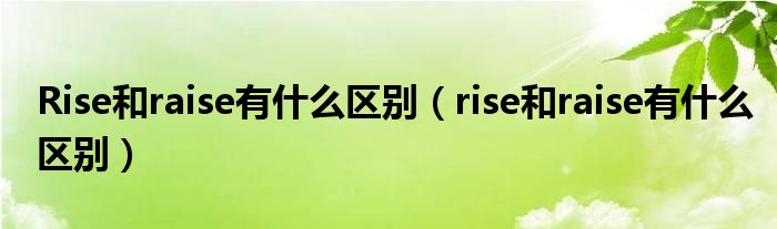 Rise和raise有什么区别（rise和raise有什么区别）