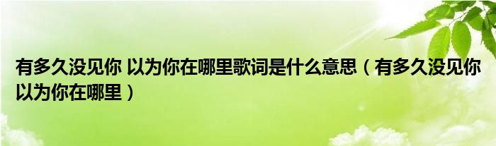 有多久没见你 以为你在哪里歌词是什么意思（有多久没见你以为你在哪里）