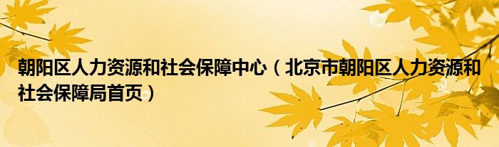 朝阳区人力资源和社会保障中心（北京市朝阳区人力资源和社会保障局首页）