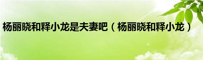 杨丽晓和释小龙是夫妻吧（杨丽晓和释小龙）