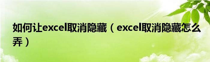 如何让excel取消隐藏（excel取消隐藏怎么弄）