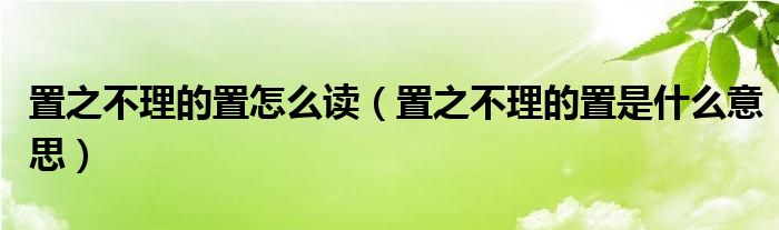 置之不理的置怎么读（置之不理的置是什么意思）