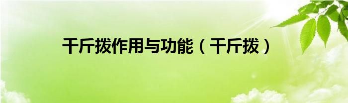 千斤拨作用与功能（千斤拨）